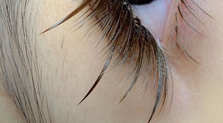 Tammy Lash and Brows图像3