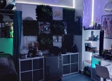 Relaxing treatment room at Mode1 Fitness, Everlast Gyms Bangor in Northern Ireland, GB with greenery accents.