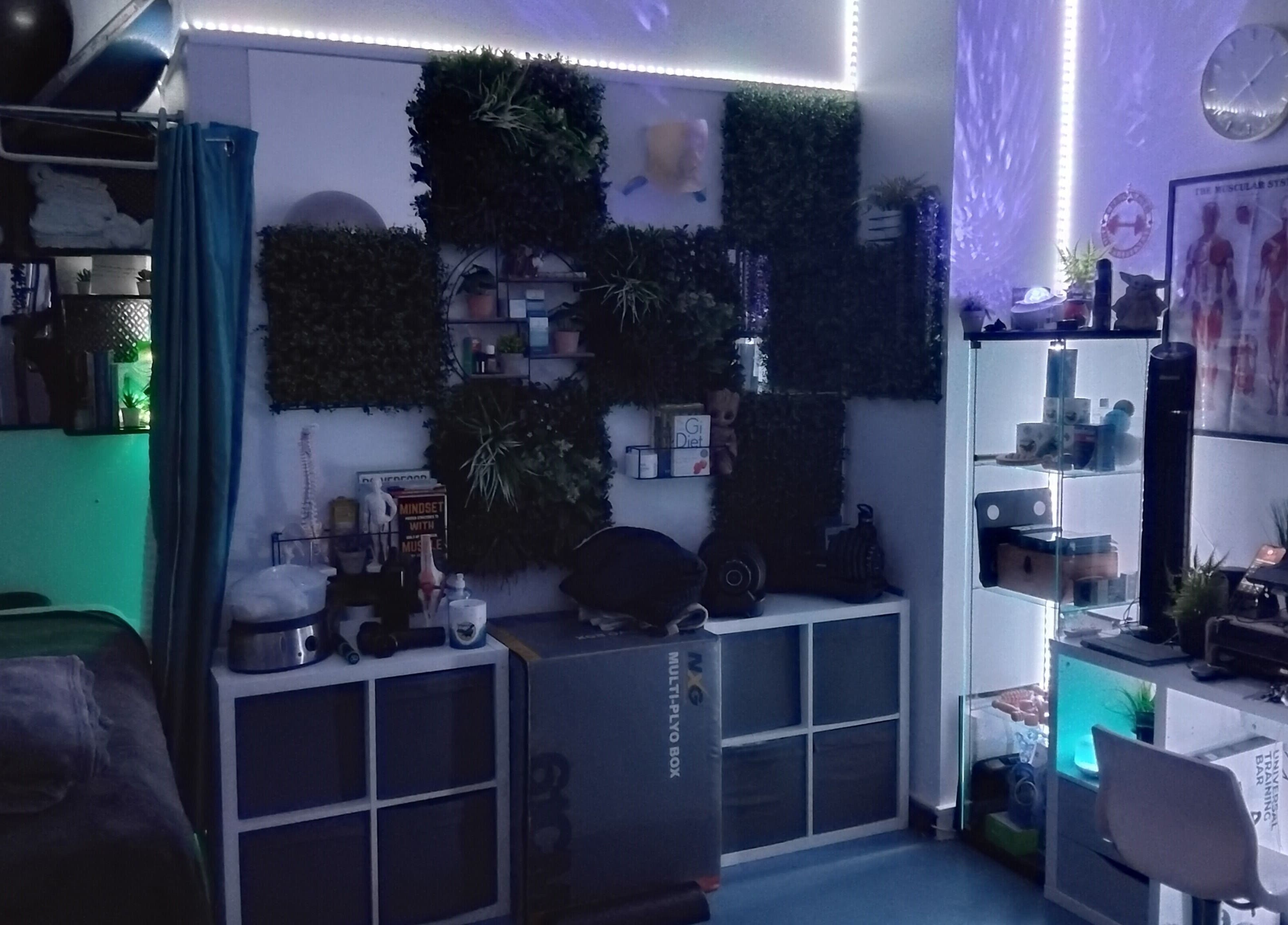 Relaxing treatment room at Mode1 Fitness, Everlast Gyms Bangor in Northern Ireland, GB with greenery accents.