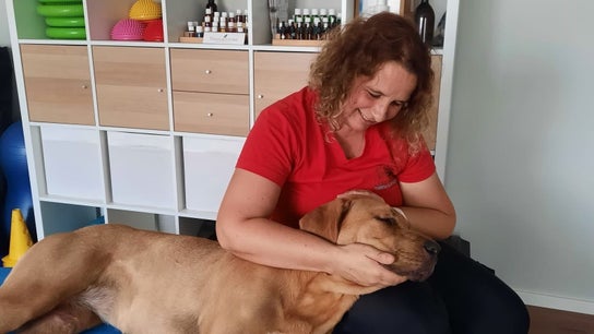 Lauf-Stall Tierphysiotherapie