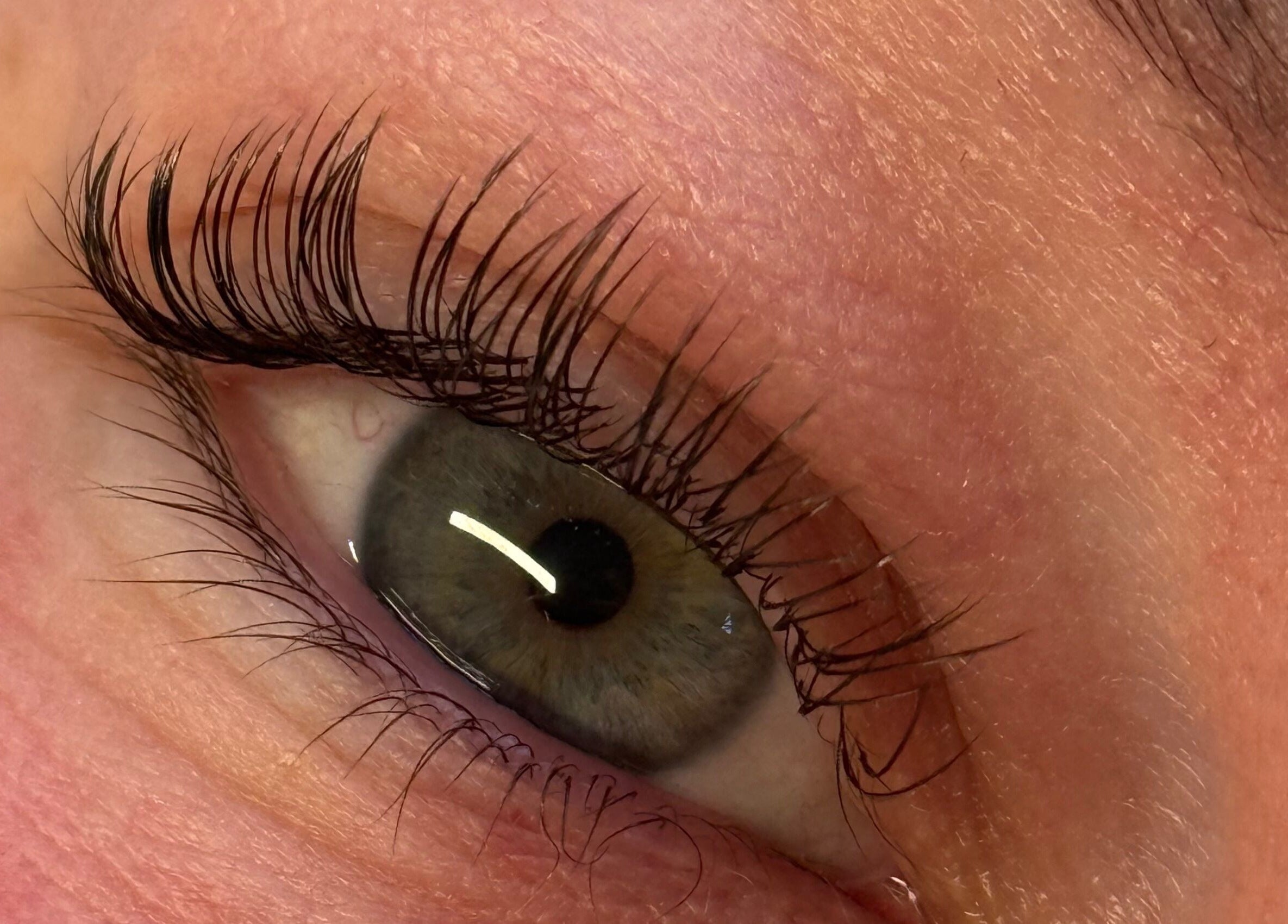 Close-up of elegant eyelash extensions at The Lash Studio (Aberdeen), Aberdeen, Scotland, GB.