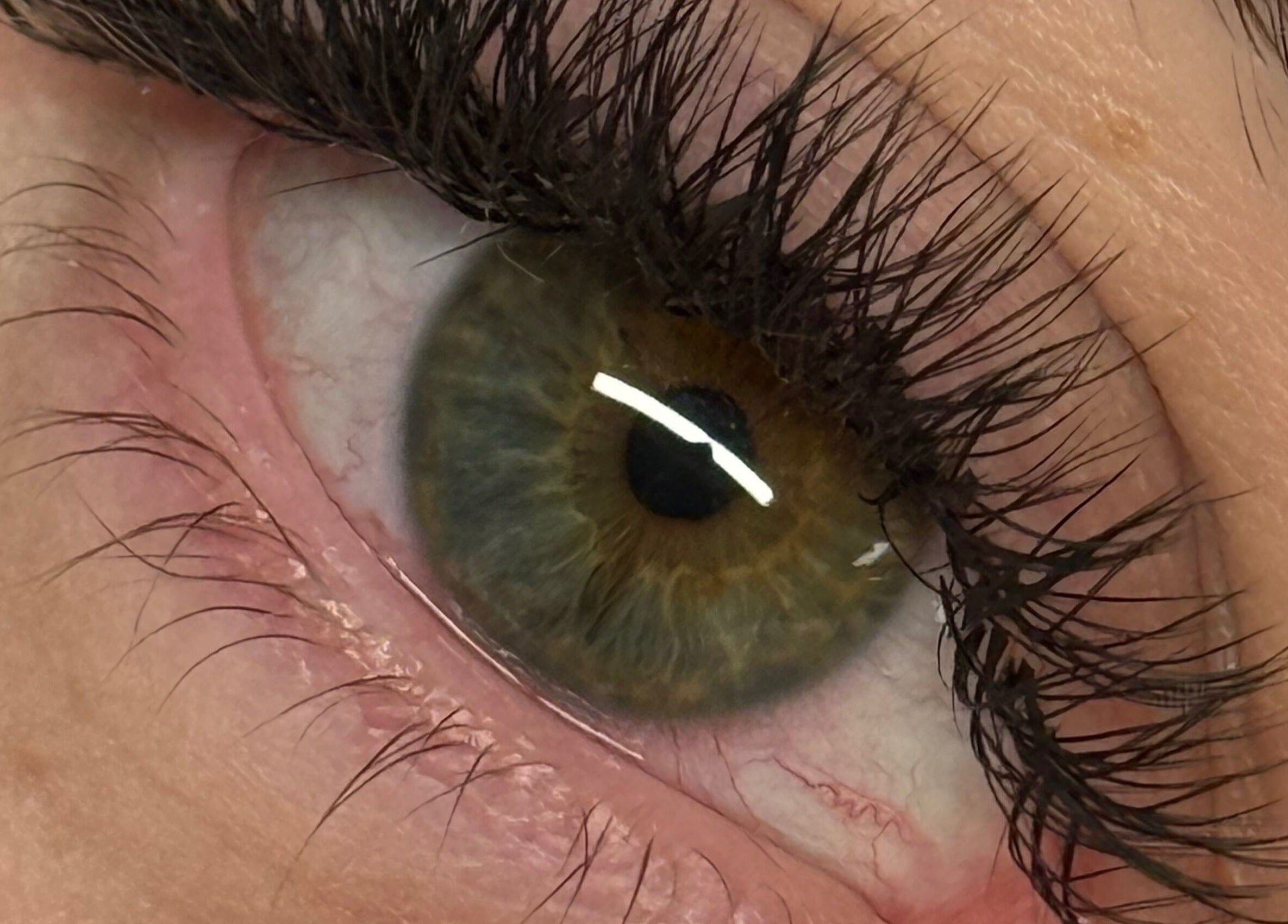 Close-up of expertly done eyelashes at The Lash Studio (Aberdeen), Aberdeen, Scotland, GB.