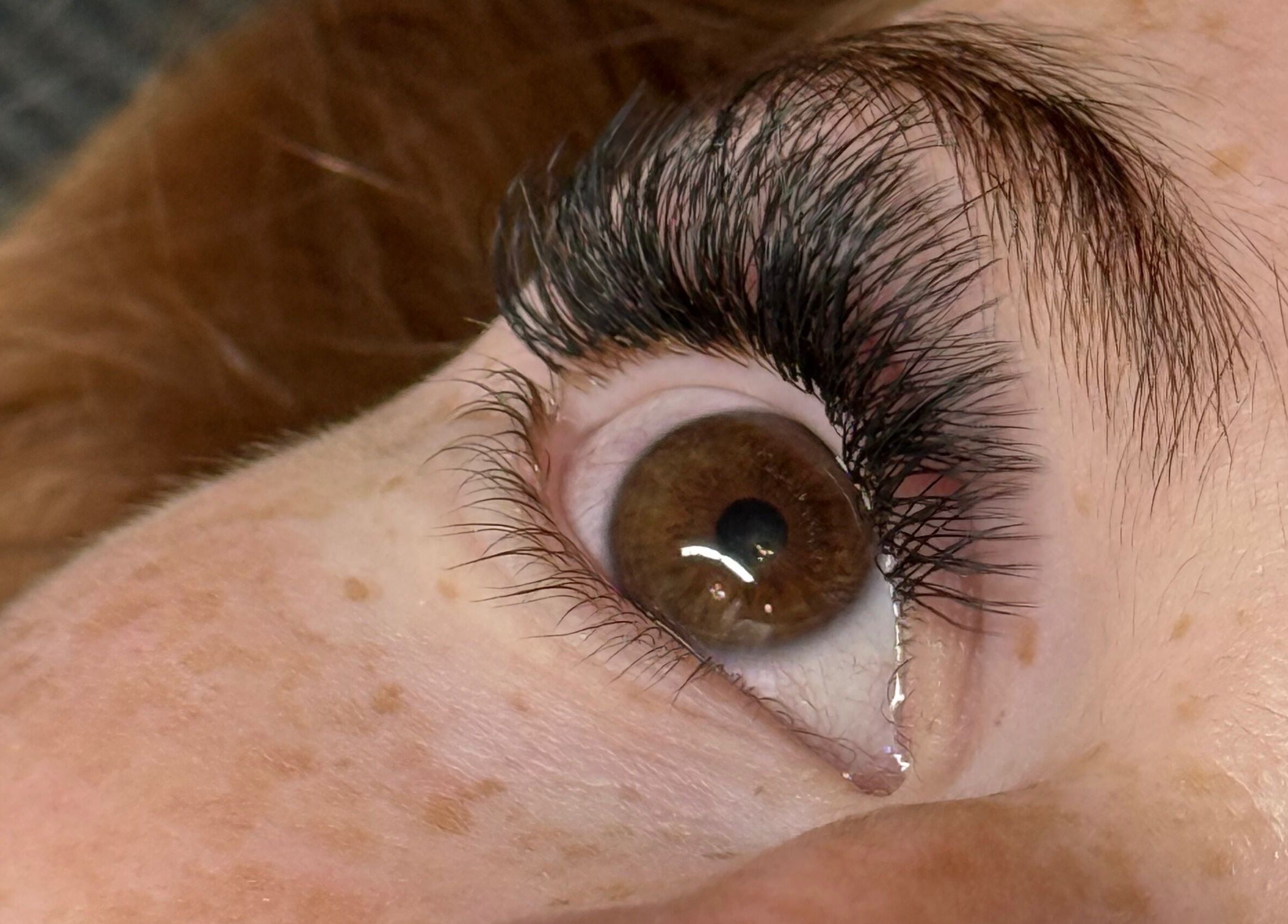 Detailed eyelash extension close-up at The Lash Studio (Aberdeen), Aberdeen, Scotland, GB.