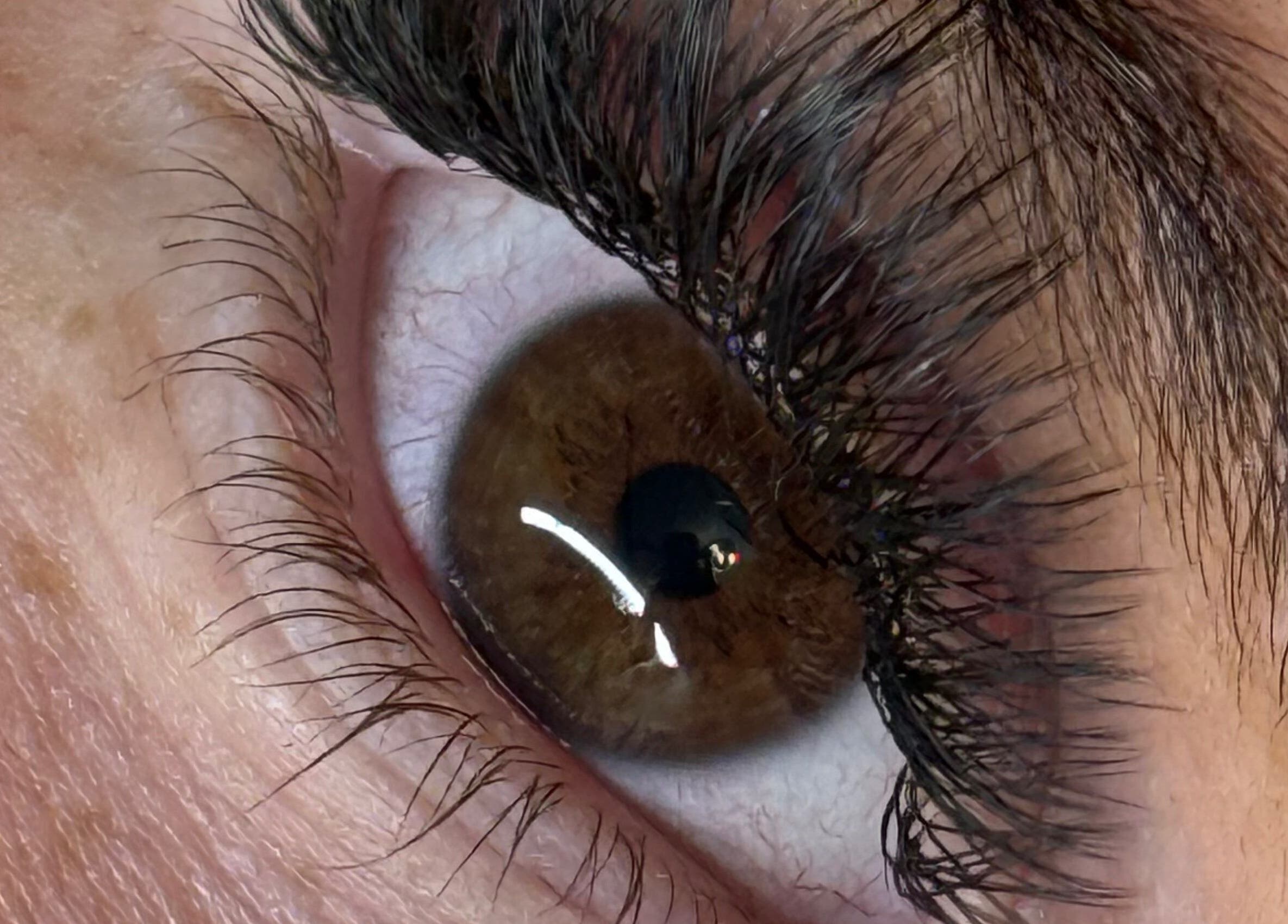 Close-up of styled lashes at The Lash Studio (Aberdeen) @ PHATT FUSION, Aberdeen, Scotland, GB.