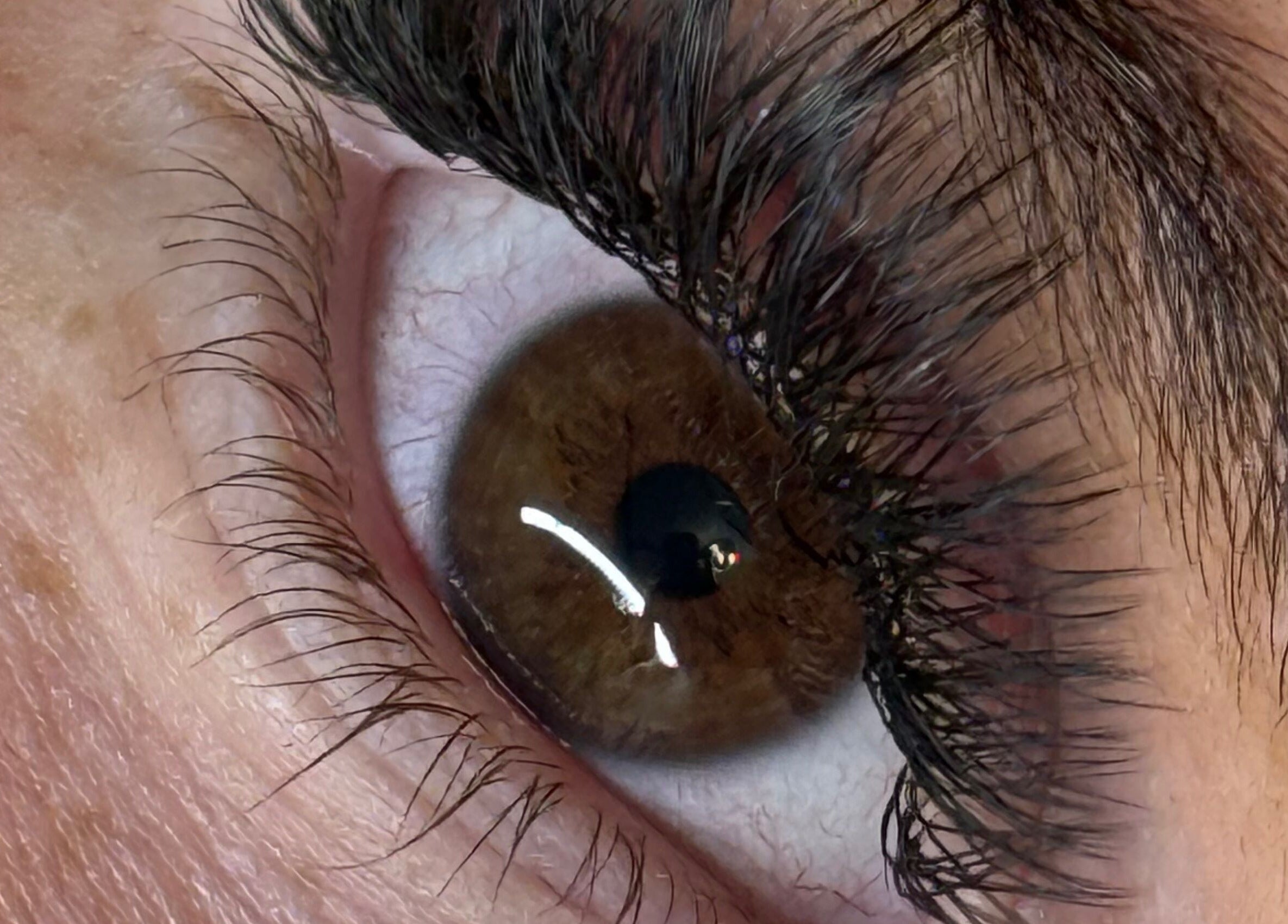 Close-up of styled lashes at The Lash Studio (Aberdeen) @ PHATT FUSION, Aberdeen, Scotland, GB.