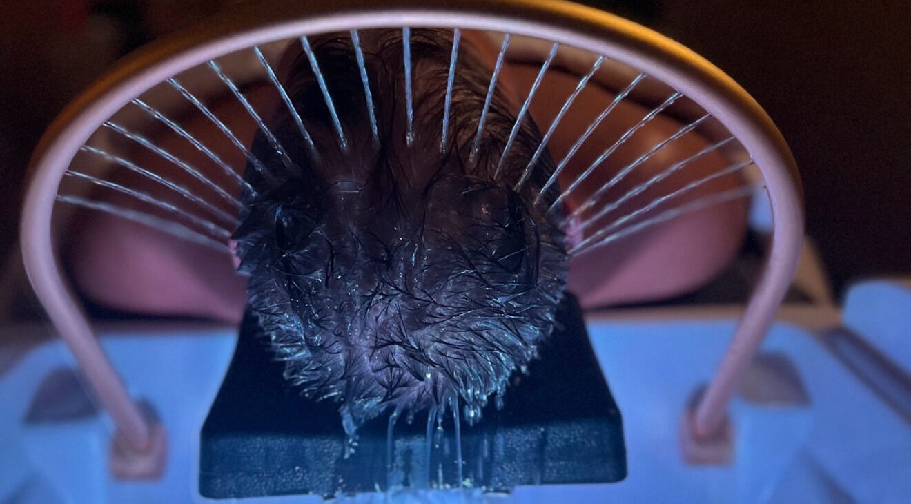 Relaxing scalp treatment at Me Scalp & Skin Studio, Egham, England, GB enhancing wellness and tranquility.