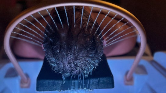 Me Scalp & Skin Studio