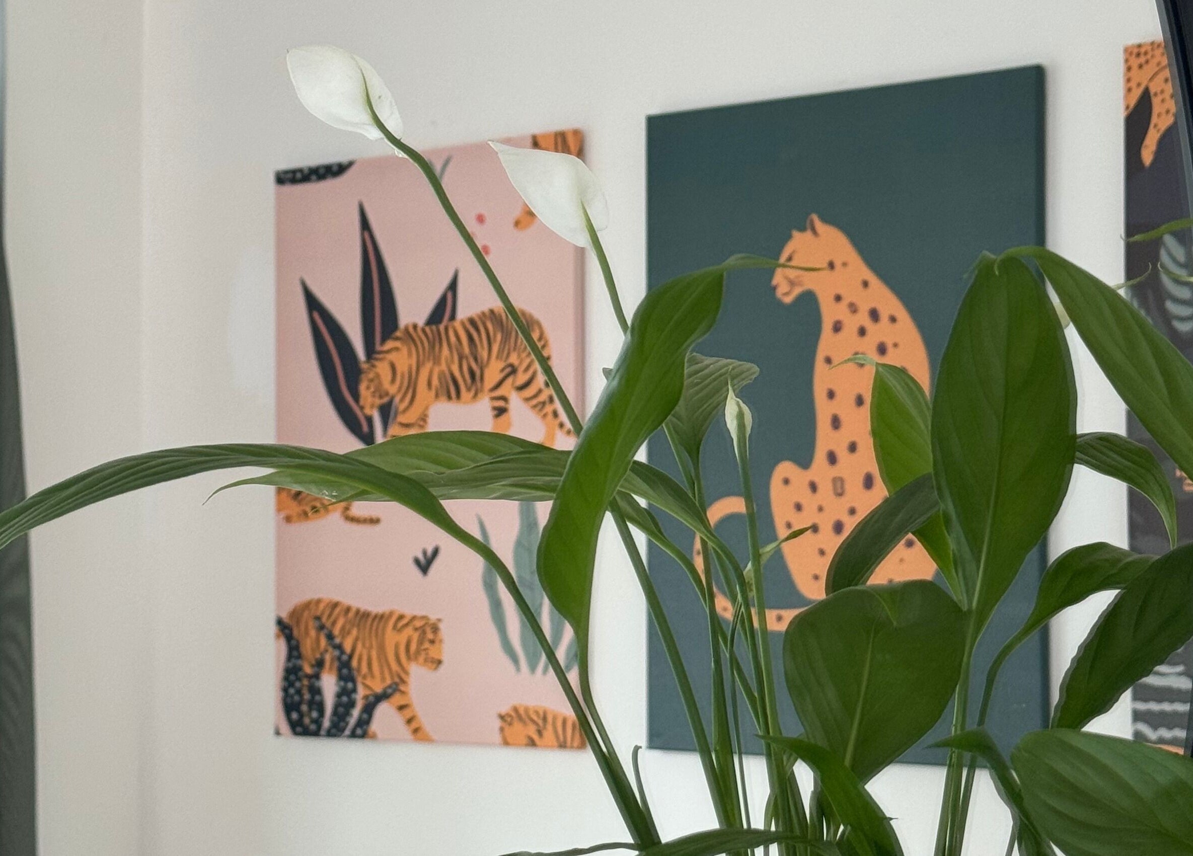 Interiér Noéme s rostlinami a uměleckými obrazy v Jihomoravský Kraj, CZ.