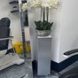 Annayah Aesthetics (Kemptown) - 67 Saint James's Street, Kemptown, Brighton And Hove, England