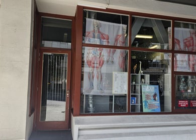 Entrance of Medical Massage and Lymphatic Drainage in Auckland, NZ, showcasing anatomical art displays.