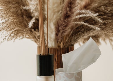 Lavish Skincare decor photo with pampas grass at Somerset West, Western Cape, ZA.