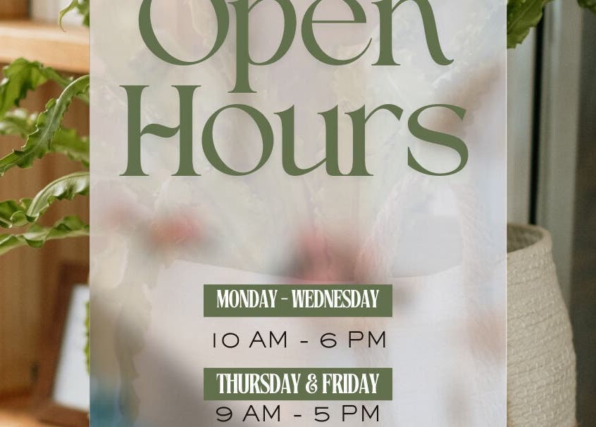 Lavish Skin & Laser Studio open hours sign with plants, Cape Town, Western Cape, ZA.