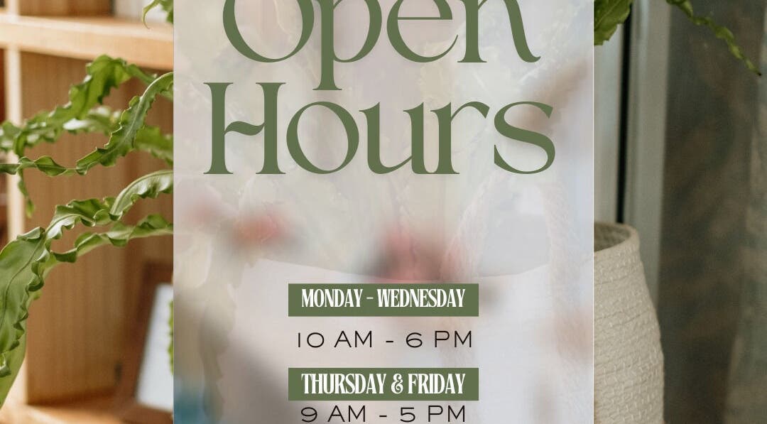 Lavish Skin & Laser Studio open hours sign with plants, Cape Town, Western Cape, ZA.