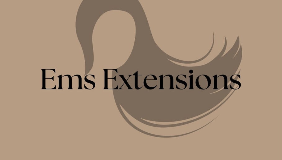 Ems Extensions slika 1