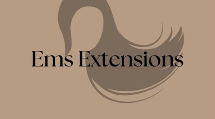 Ems Extensions