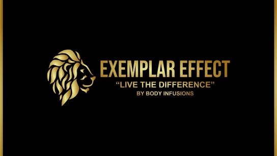 Exemplar Effect, L.L.C.