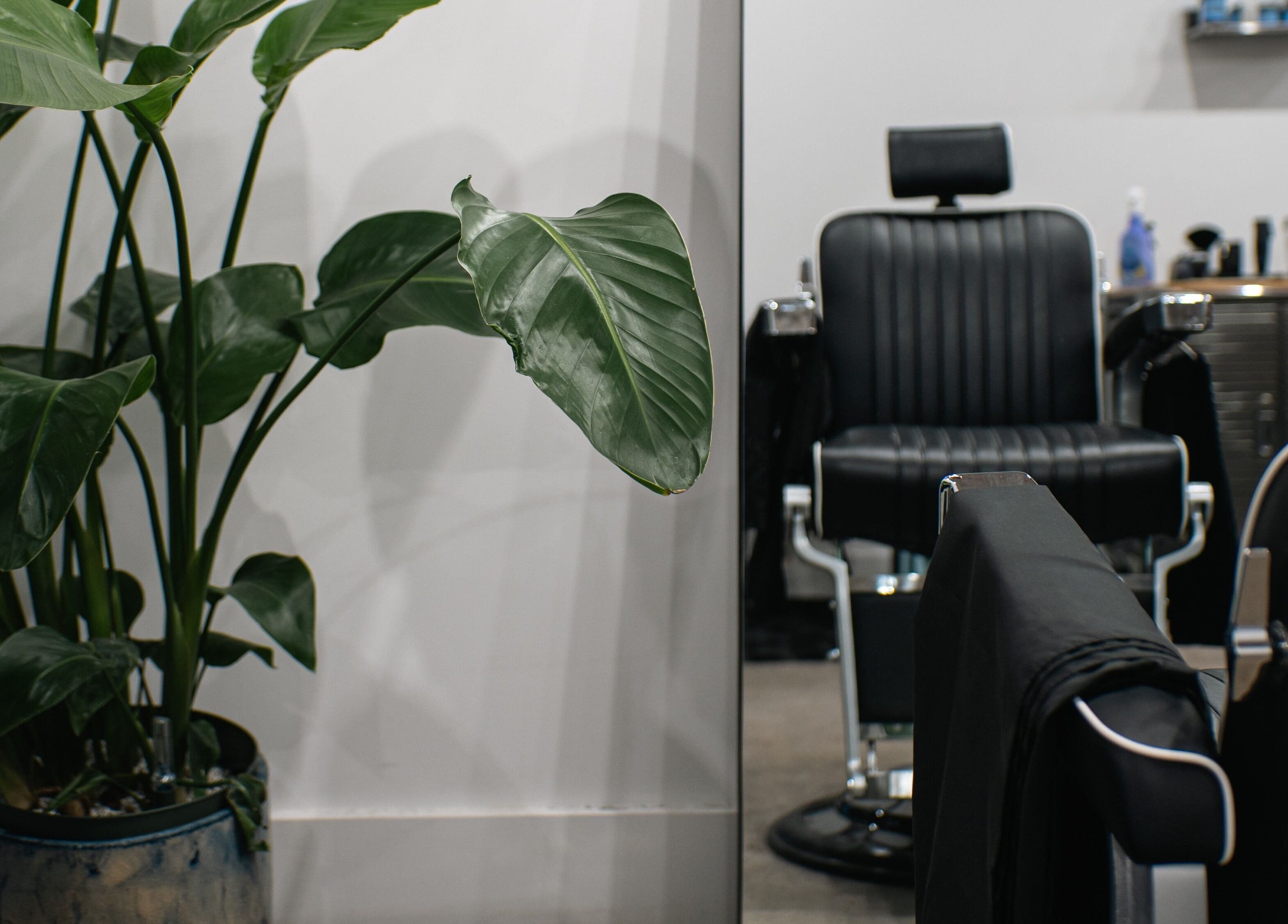 Stylish barber chair and vibrant plants at ZERO81 Hair Studio - Caledonian Road, London, England, GB.