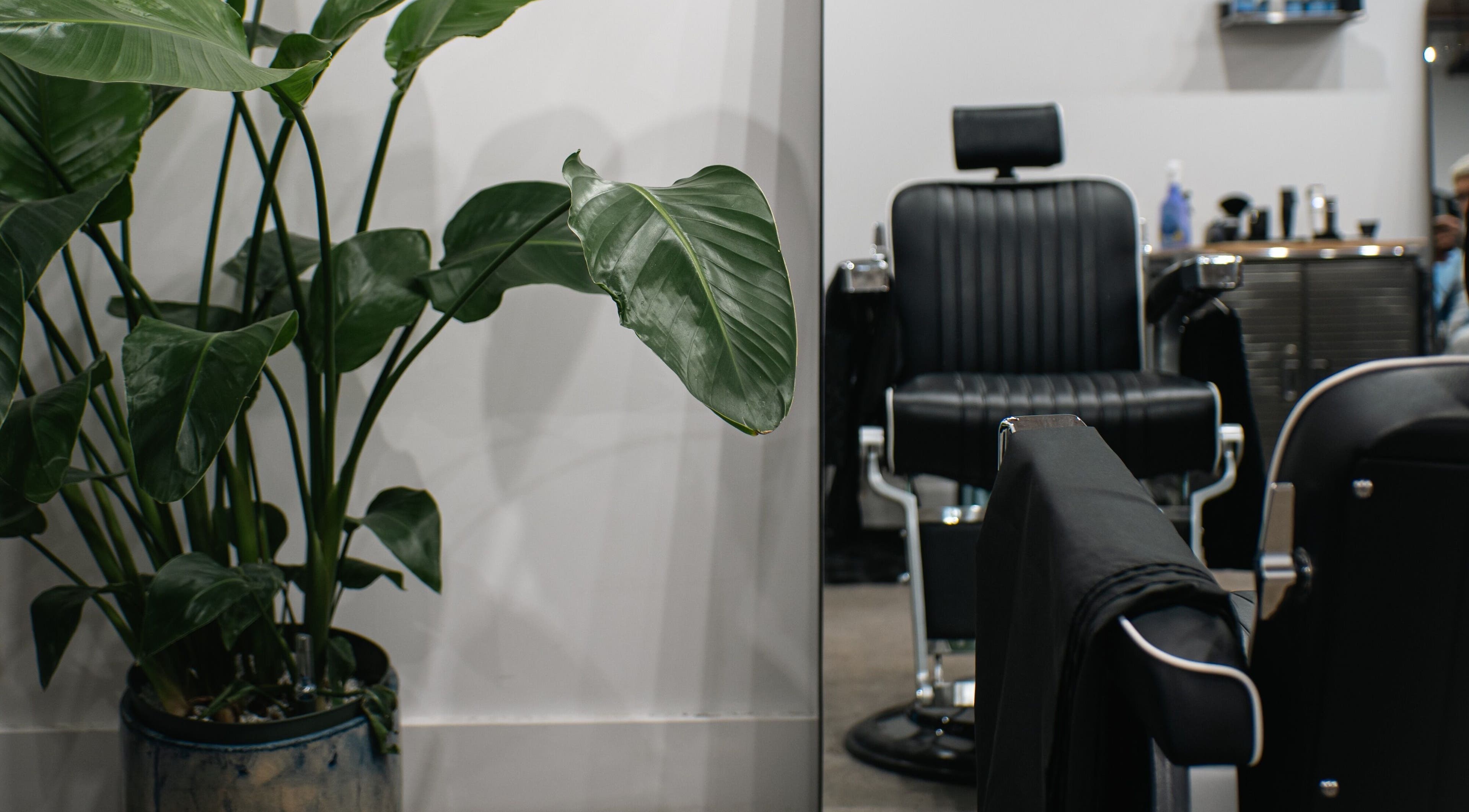 Stylish barber chair and vibrant plants at ZERO81 Hair Studio - Caledonian Road, London, England, GB.