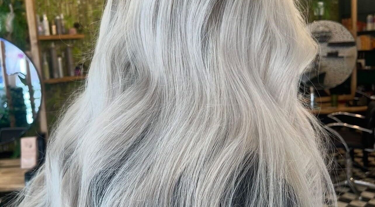 Shimmering silver hair styled at Weronika Studio, Elgin, Scotland, GB, reflecting natural light.