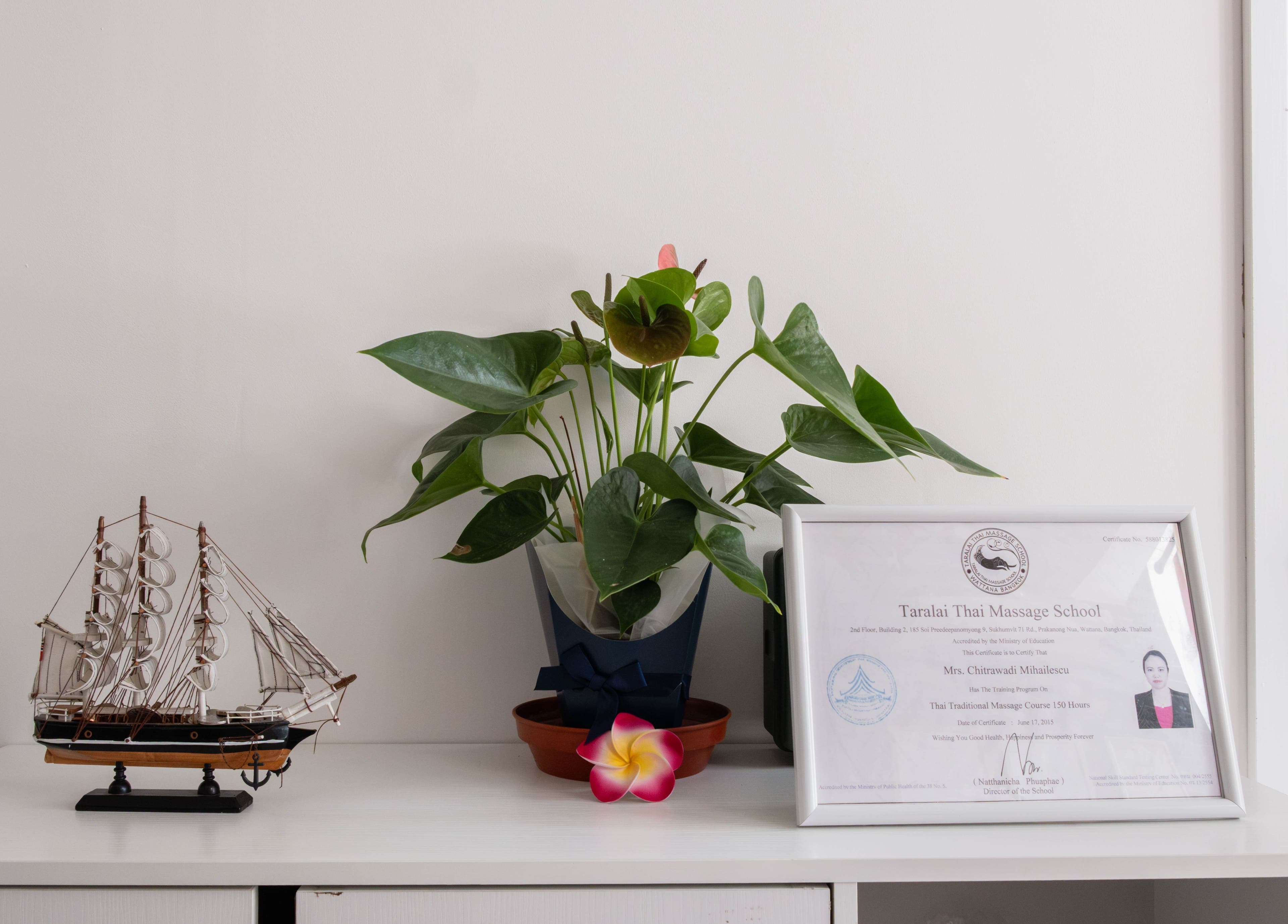 Decor arrangement with plant and ship model at Somchit Thai Massage and Spa in London, England, GB.