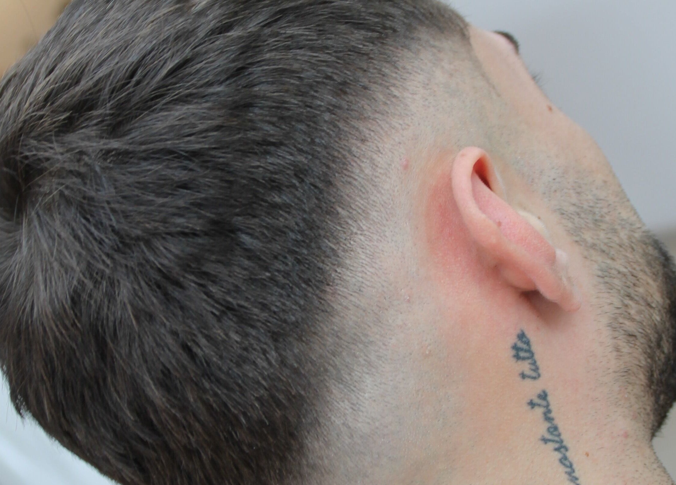 Taglio sfumato di precisione presso squizz_culture a Salzano, Veneto, IT.