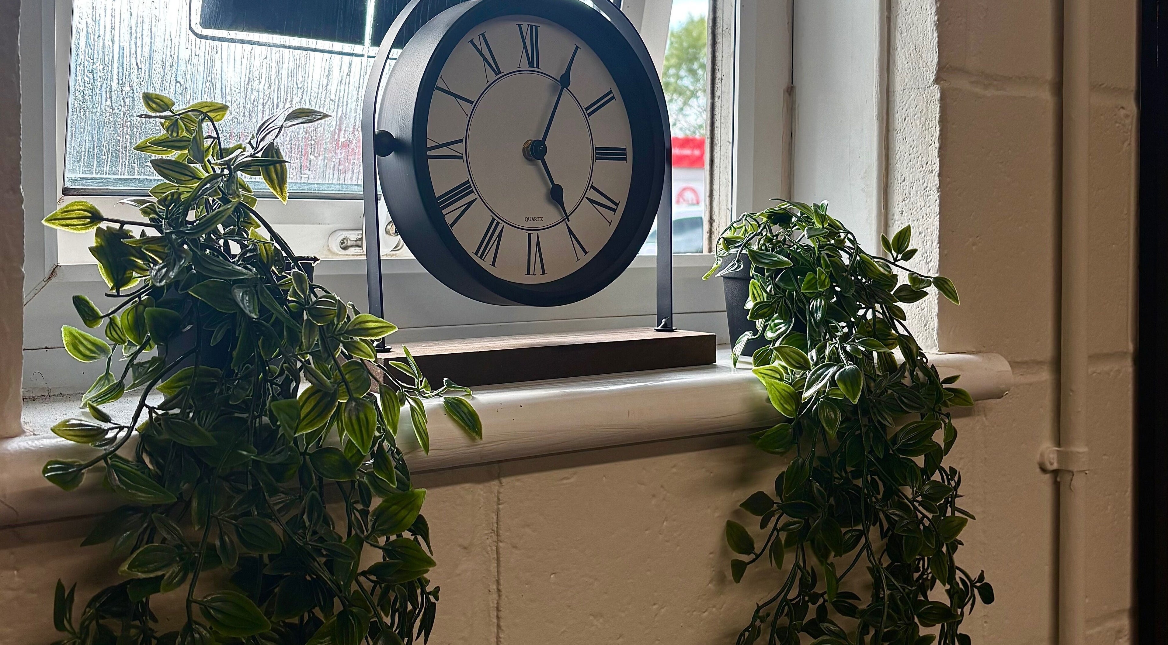 Elegant clock and lush plants on a window sill at A.J.Healing, South Ockendon, England, GB.