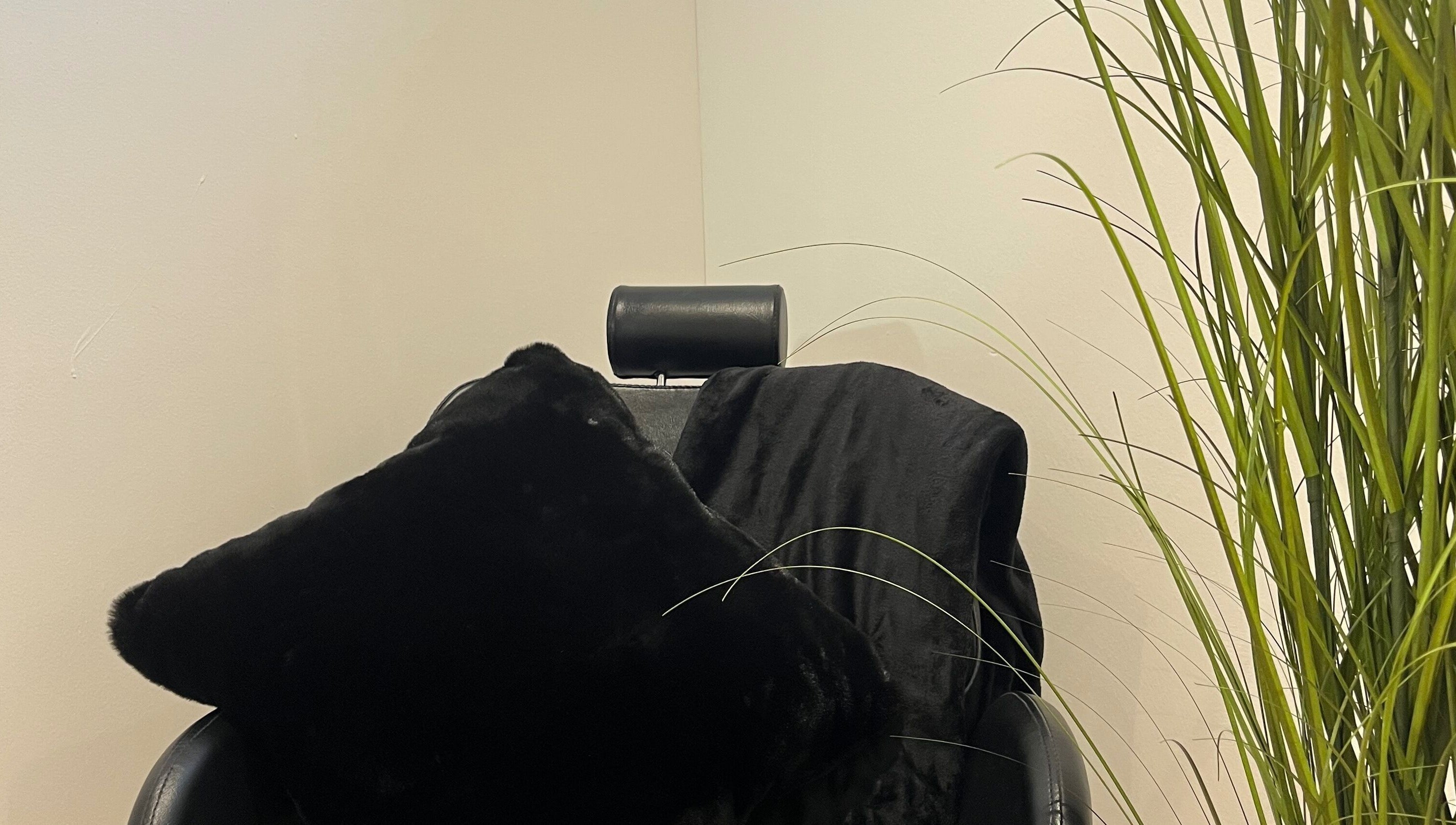 Relaxing salon chair at Polished by Grace, Barnsley, England, GB with plush cushions and greenery.