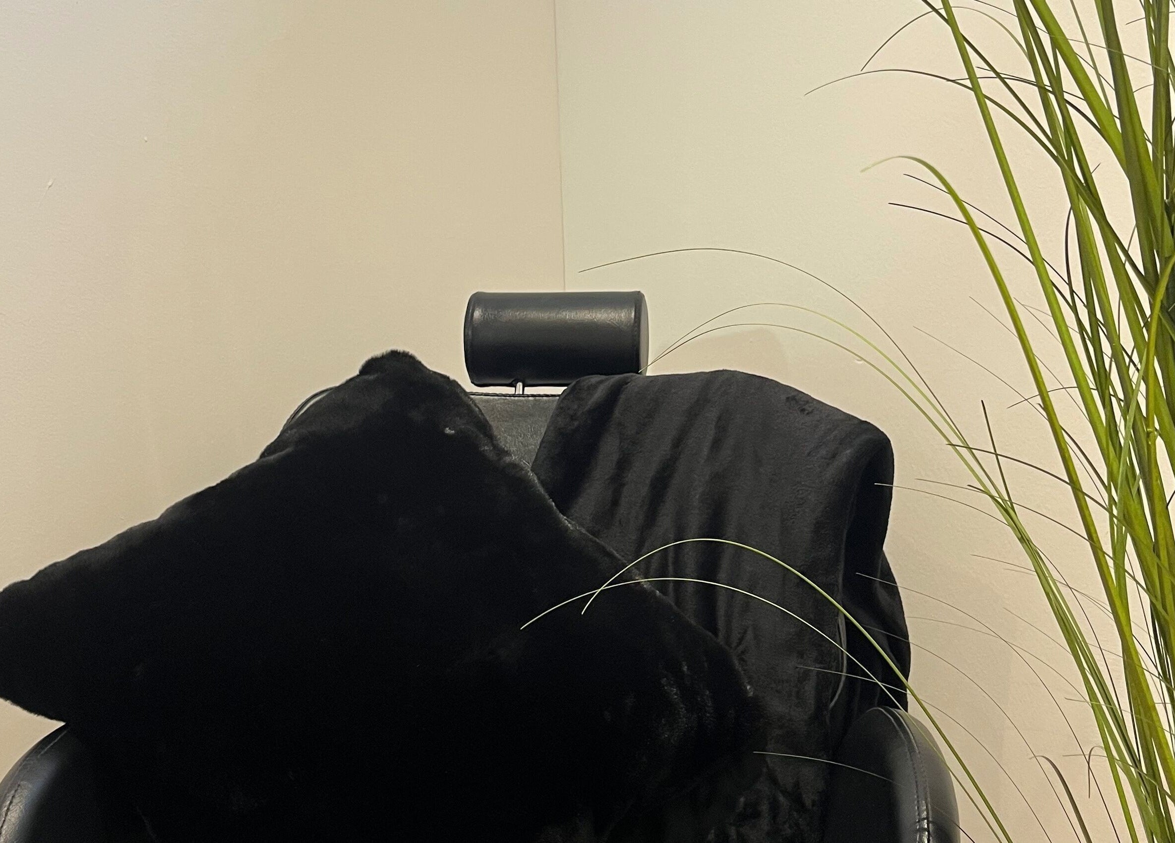 Relaxing salon chair at Polished by Grace, Barnsley, England, GB with plush cushions and greenery.