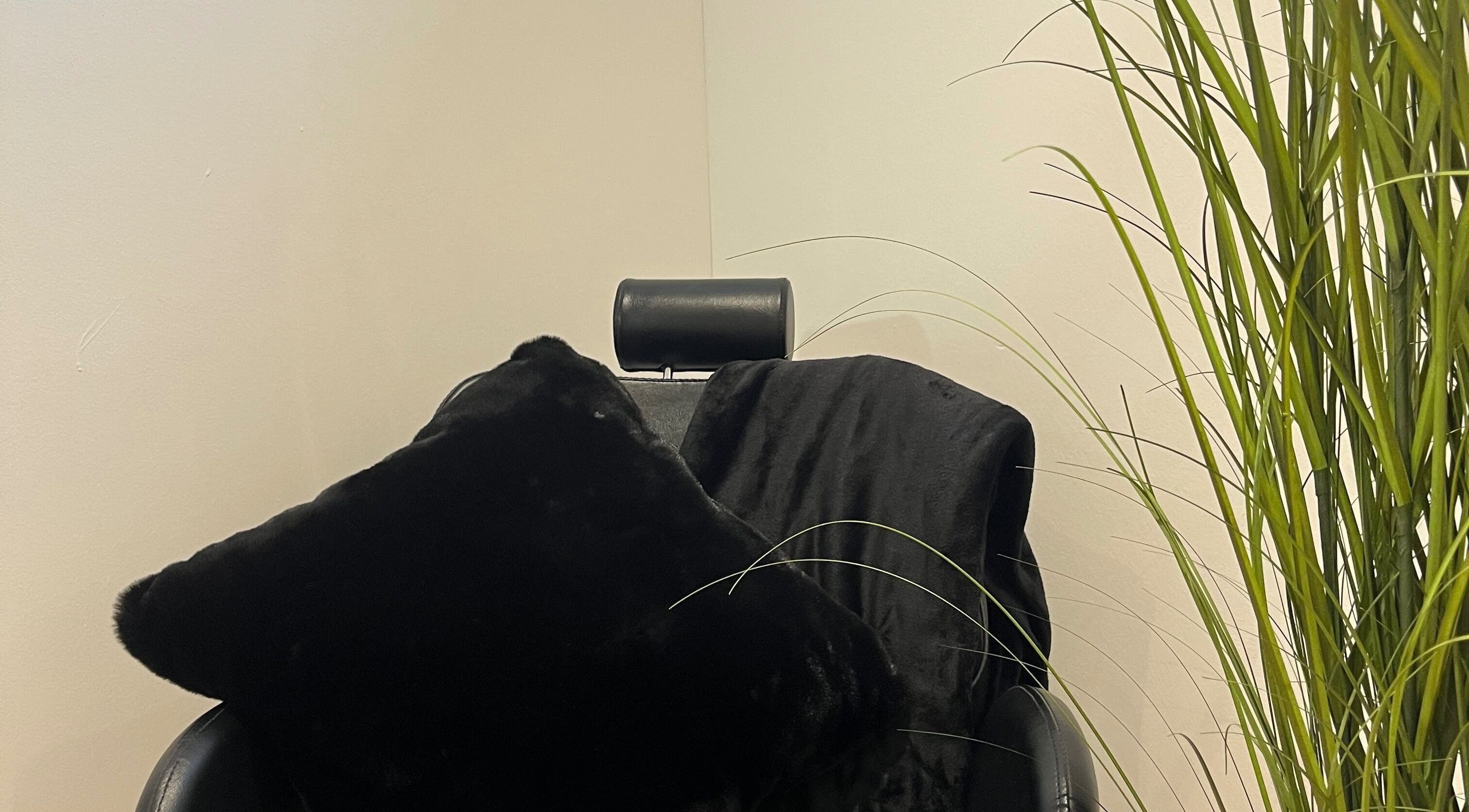 Relaxing salon chair at Polished by Grace, Barnsley, England, GB with plush cushions and greenery.