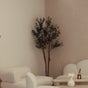 Las Rosas Clinic - 9A Parish Street, Naxxar