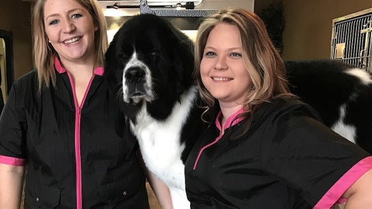 Petals Dog Groomers