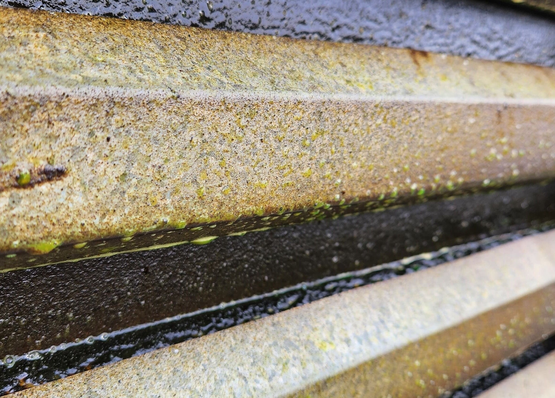 Close-up of textured surface cleaned by MC Cleaning in Springs, Gauteng, ZA, showcasing detailed restoration.