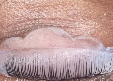 Traitement des cils innovant chez Dimension Parfaite à Massy, Île-de-France, FR, avec un coussin en forme de nuage.