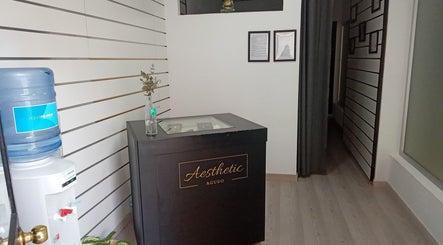 Aesthetic Agudo图像2