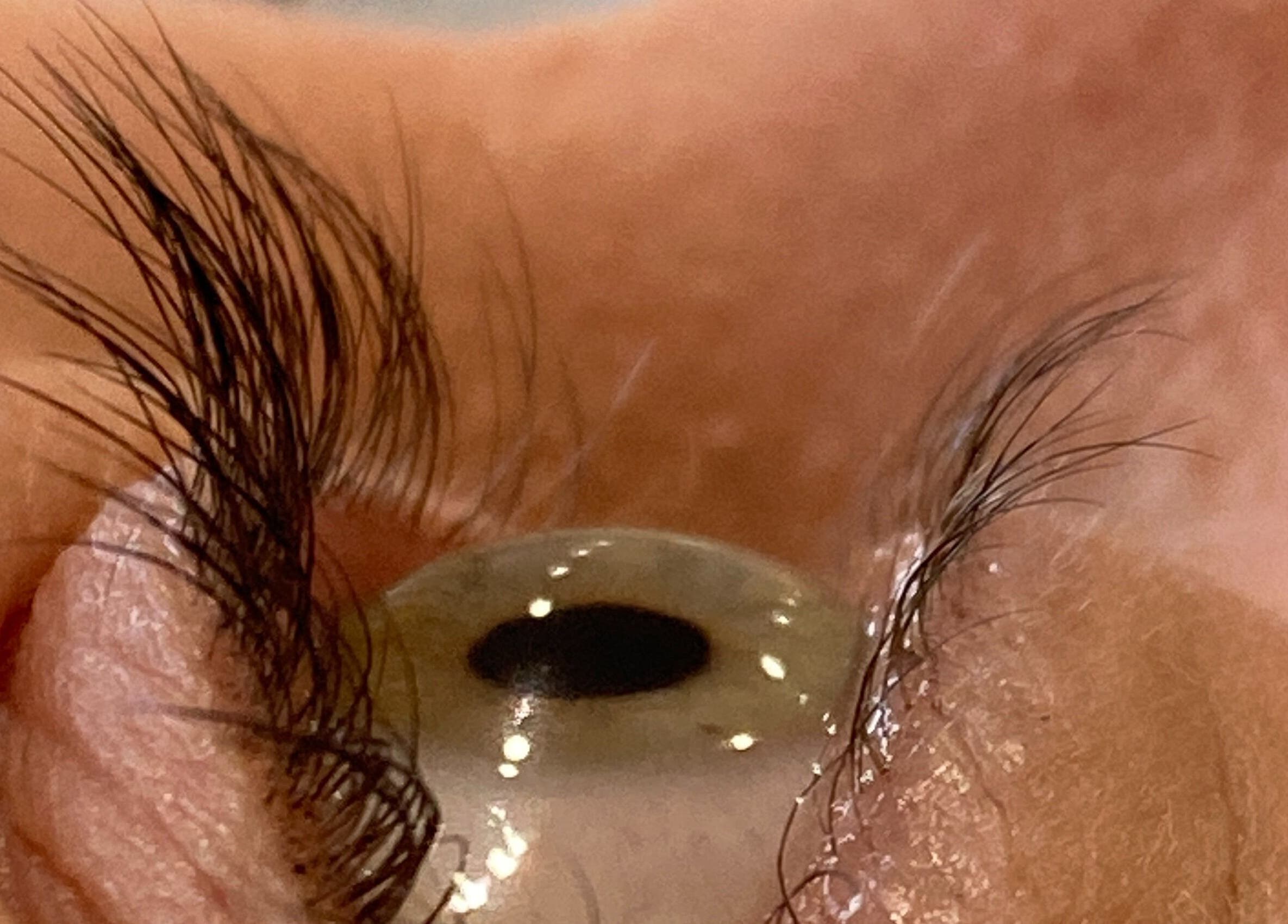 Close-up of expertly applied lashes at Rita DeSario Make-Up Artist, Southampton, England, GB.