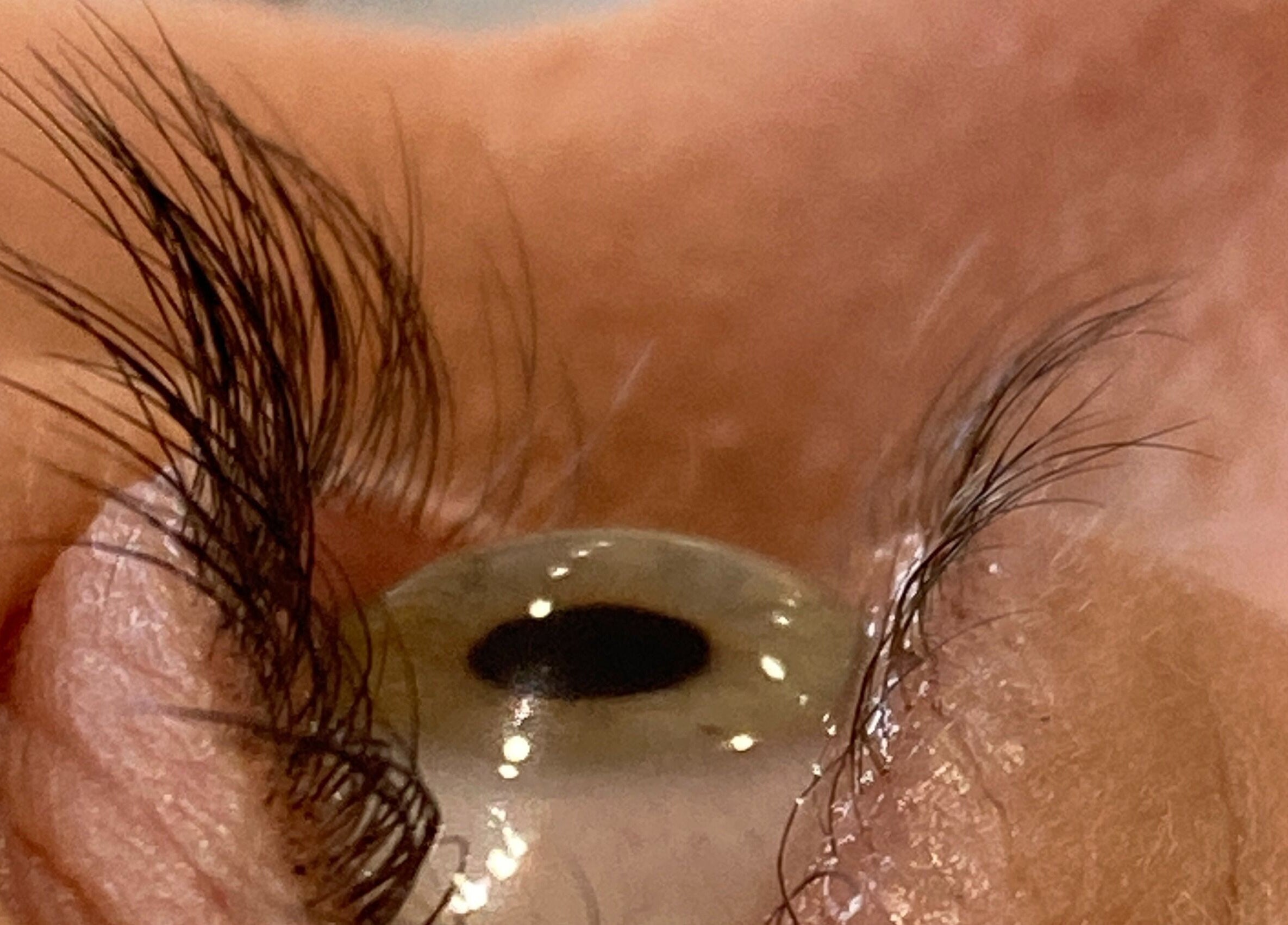 Close-up of expertly applied lashes at Rita DeSario Make-Up Artist, Southampton, England, GB.