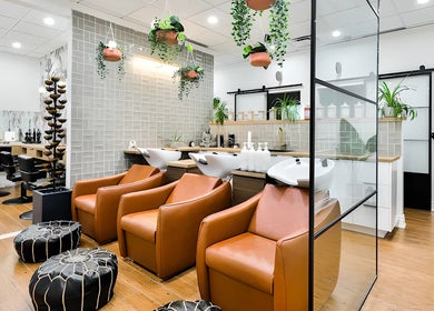 Intérieur moderne de Centre Sante du Cheveu à Rosemère, Québec, CA avec fauteuils en cuir et plantes suspendues.