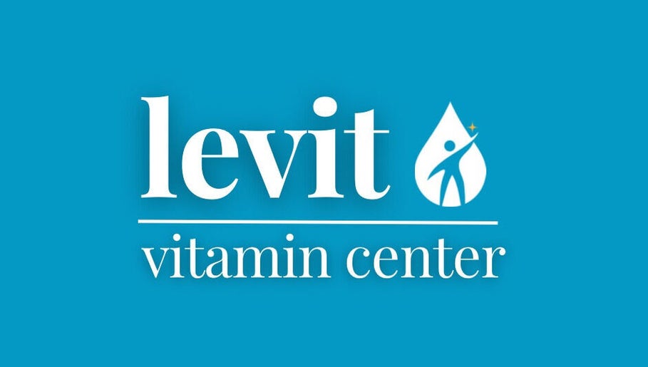 LEVIT image 1