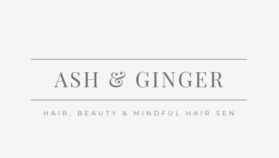 Ash & Ginger Hair image 1