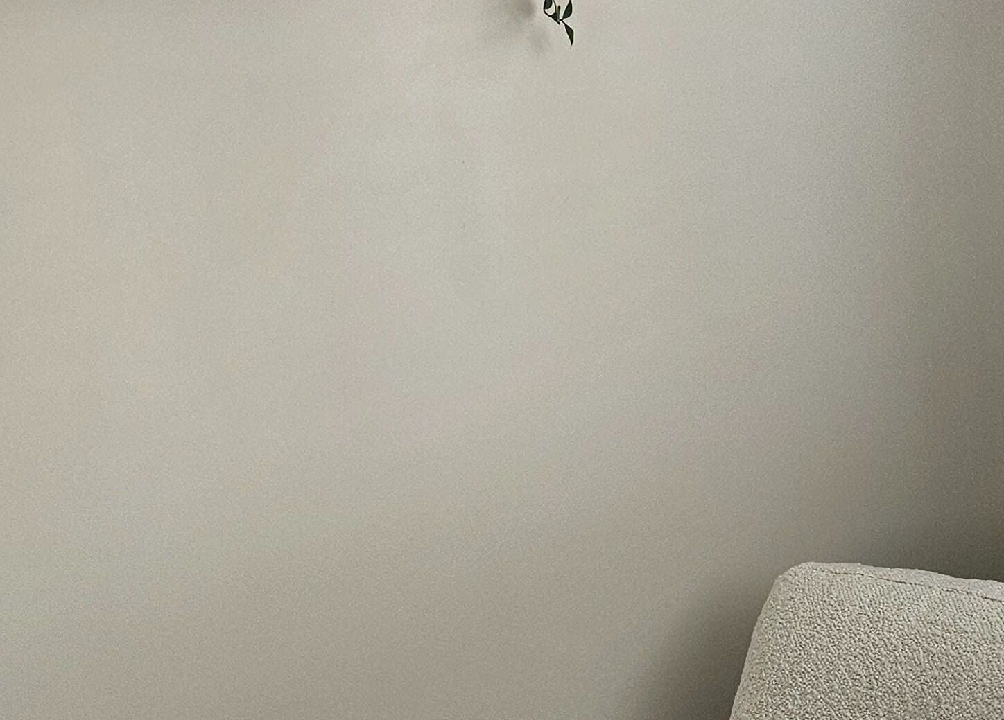 Subtle decor against the soothing wall at Next Gen Skin, Stoke-on-Trent, England, GB.