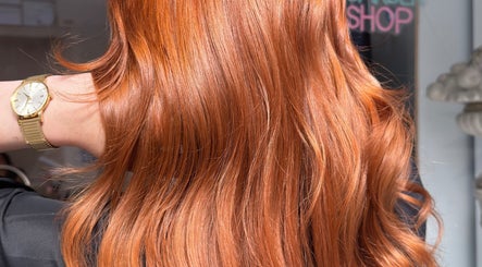 Cabello rojizo brillante en APHRODITE, Son Ferriol, Illes Balears, ES con fondo del salón.