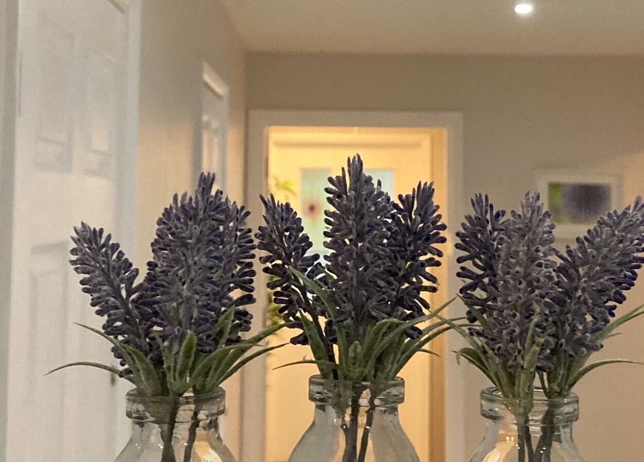 Lavender in glass bottles at Healthwell Clinic, Cowes, England, GB, creating a calming atmosphere.