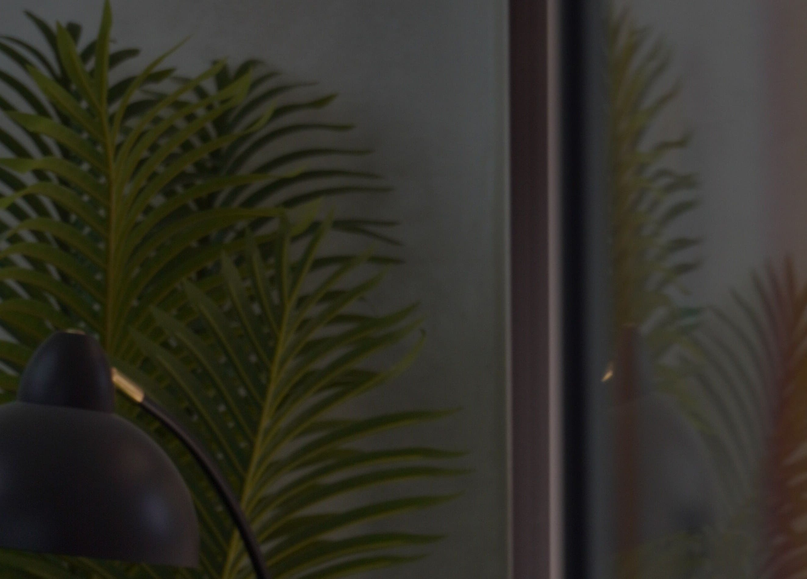 A sleek black lamp next to a palm plant at Bald Barber Studio, Varna, Varna, BG, creates a calm ambiance.