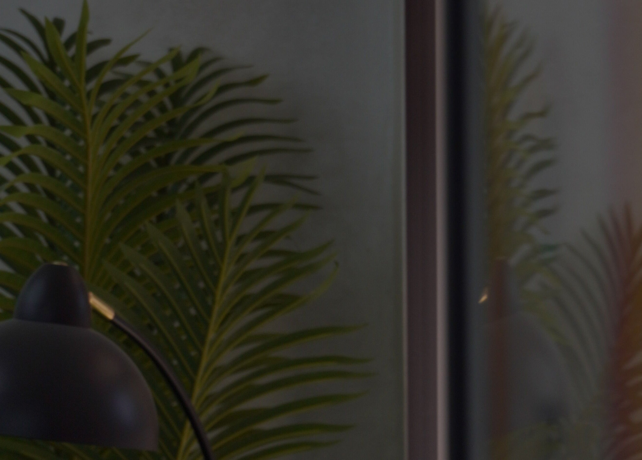 A sleek black lamp next to a palm plant at Bald Barber Studio, Varna, Varna, BG, creates a calm ambiance.