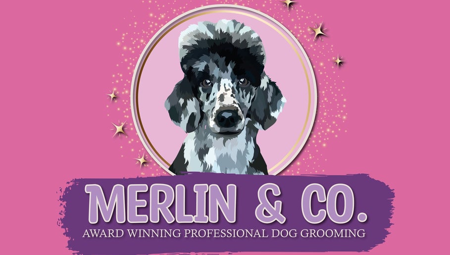 Merlin & Co. vaizdas 1