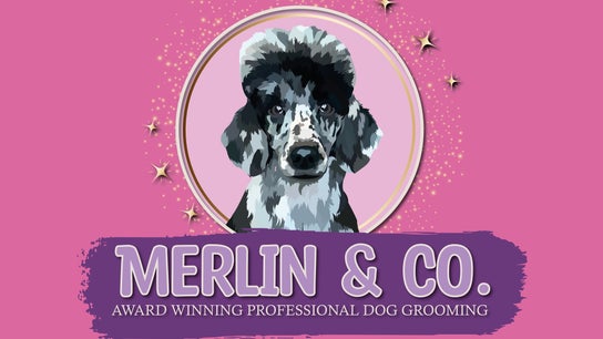 Merlin & Co.