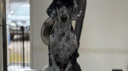 Merlin & Co. vaizdas 2