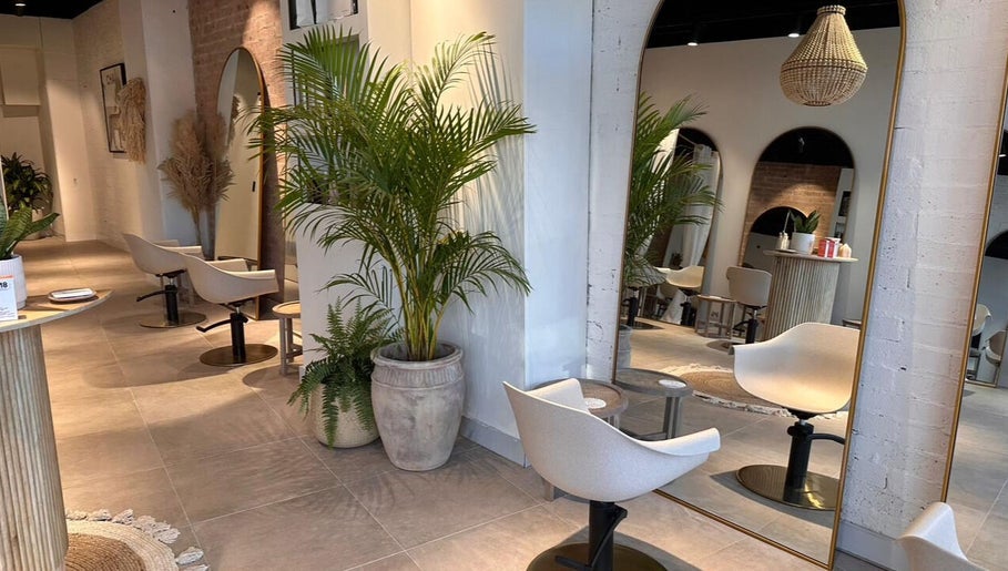 Elegant interior of Moss Hair Artistry in Neutral Bay, New South Wales, AU featuring modern decor and lush plants.