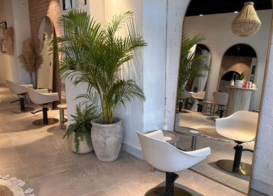 Elegant interior of Moss Hair Artistry in Neutral Bay, New South Wales, AU featuring modern decor and lush plants.