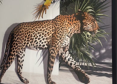 Leopard artwork at Moss Hair Artistry, Neutral Bay, New South Wales, AU, showcasing a vibrant wildlife theme.